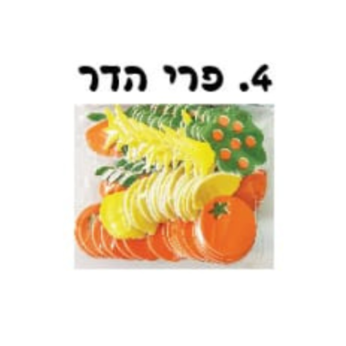מדבקות סול פירות הדר